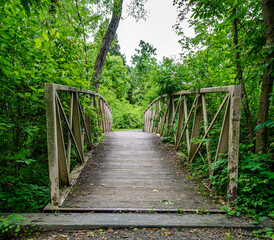 Bridge Walk In A Park