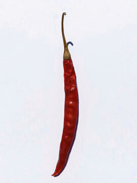 picture of kashmiri chilli (mirch) in isolated white background. selective focus