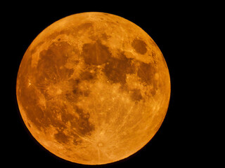 Full Harvest Moon in a Brilliant Orange and Yellow in a Pitch Black Sky with Astronomy View Including Moon Craters 