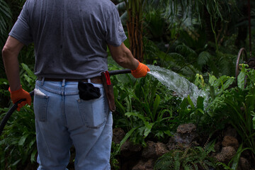 Gardener watering plants in botanical garden