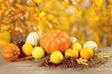 Pumpkin.