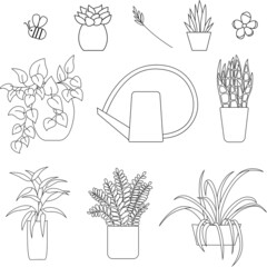 Vector Illustration Graphic Clip Art Doodle House Plant Pot Flower Leaves Nature Outline Set Isolated Elements White Background