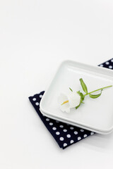 White plate with White Bellflowers (Campanula) on blue dot kitchen cloth.