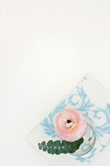 Pink ranunculus with blank space.