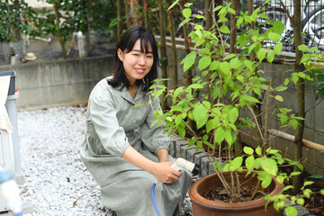 植木に水をやる女性（ガーデニング）