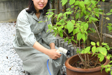 植木に水をやる女性（ガーデニング）