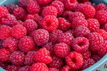 Container of a pile of Red Juicy Raspberries at the farmers market
