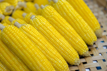 Boiled corn for sale on street food in Thailand.
