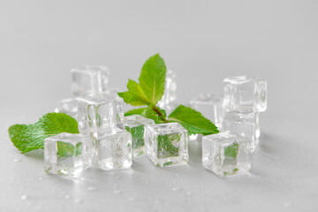 Ice cubes and mint on grey background