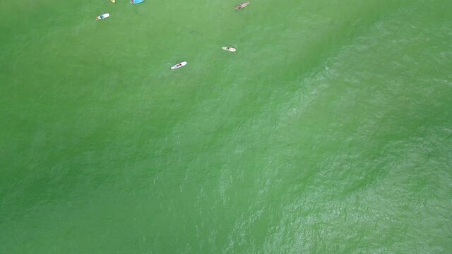 SUP - Group of Tourists on Paddleboards on Florida Gulf Coast Beach - Drone Overhead Aerial View
