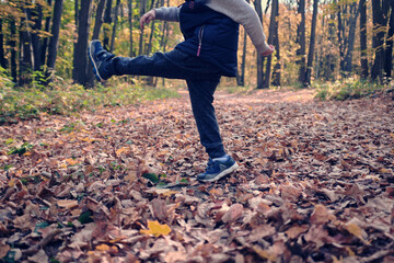 little boy kicks leaves with his foot in autumn forest