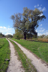 Fototapeta na wymiar Dirt road.Natural landscape in Kiev Region at autumn