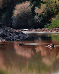 Long exposure reflected of rocks and trees on the river in autumn.