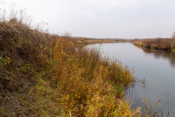 autumn rural natural scene with calm river reflecting yellow trees in cloudy day