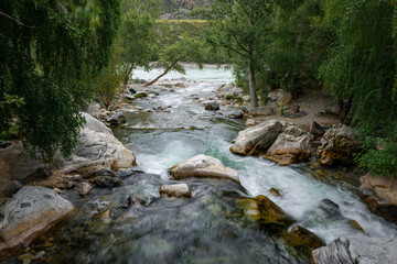 Powerful stream of mountain river, huge boulders, banks overgrown with green trees. Cascade in mountain stream. Beauty of the wild.