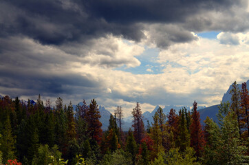 Alberta, Canada - Beauty over Beauty by Highway 93 in the Rocky Mountains