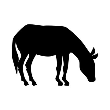 donkey silhouette icon design, Animal zoo life nature and character theme Vector illustration