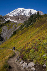 Fototapeta na wymiar Hiker on a trail at Mt. Rainier National Park in early fall 