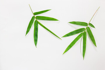 Bamboo leaf on white background, Use texture as backdrop or wallpaper and design other