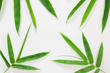 Bamboo leaf on white background, Use texture as backdrop or wallpaper and design other