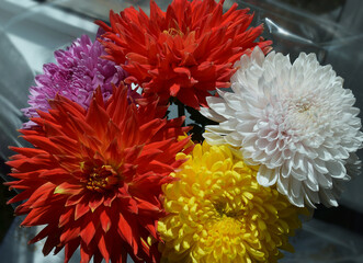 beautiful autumn bouquet with chrysanthemums and dahlias © zucker66