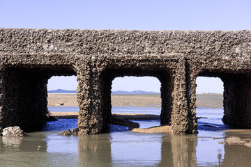 Underwater bridge covered with oyster shell.