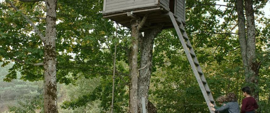 Happy three kids boys friends climbing a ladder to get into a tree house. Shot on RED Dragon with 2x Anamorphic lens
