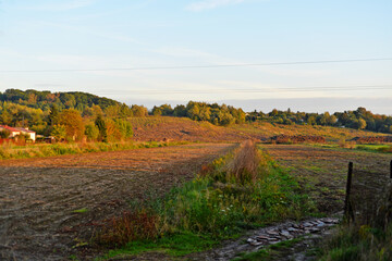 Obraz premium autumn landscape in the mountains