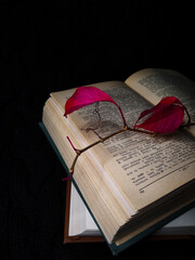 book and heart
