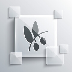 Grey Olives branch icon isolated on grey background. Square glass panels. Vector.