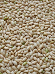 한국의 유기농 곡식 현미 
