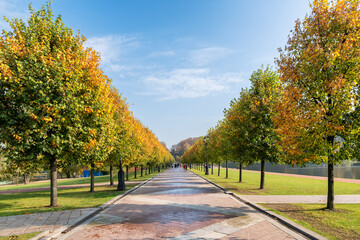 Fototapety na wymiar - Fototapeta24.pl