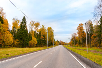 Rural asphalt road in the Moscow region in golden autumn