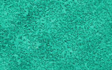 Fototapeta na wymiar Porous green sponge close-up. Abstraction.