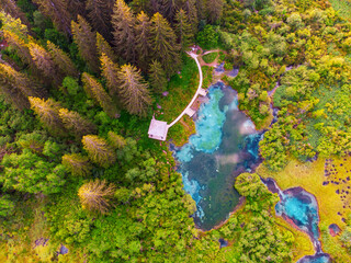 Aerial view of beautiful Zelenci lake in the Julia Alps in Triglav National Park near Kranjska Gora...