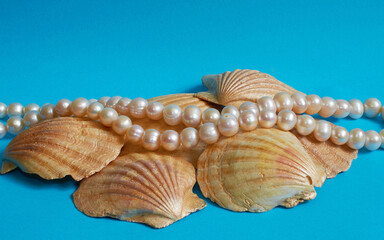 Marine layout. Several seashells and pearl beads on a blue background.