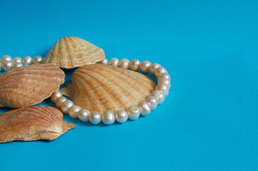 Marine layout. Several seashells and pearl beads on a blue background.