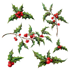 Set of Christmas decorative elements - holly berry branches with leaves and berries. Botanical watercolor illustration of winter plants isolated on white background. Vintage Xmas home decor.