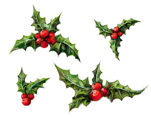 Set of Christmas decorative elements - holly berry branches with leaves and berries. Botanical watercolor illustration of winter plants isolated on white background. Vintage Xmas home decor.