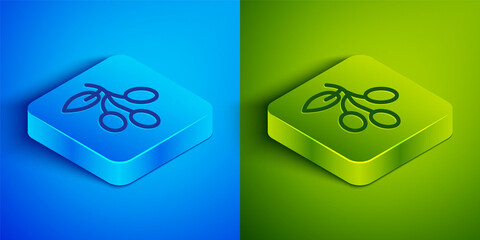 Isometric line Olives branch icon isolated on blue and green background. Square button. Vector.
