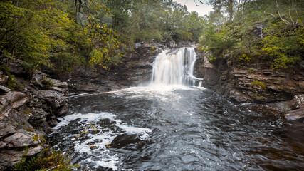 Fototapeta premium waterfall in the forest