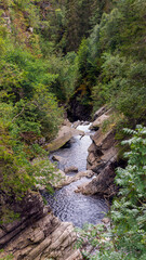 river in the forest with waterfall 