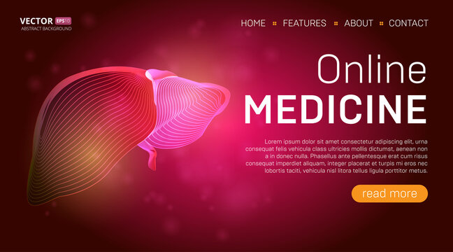 Online medicine landing page template or medical hero banner design concept. Human liver outline organ vector illustration in 3d line art style on abstract background