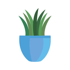 Plant inside pot design of Floral nature garden ornament botany decoration beauty and flora theme Vector illustration