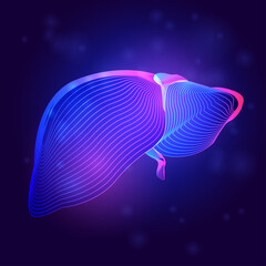 Human liver medical structure. Outline vector illustration of body part organ anatomy in 3d line art style on neon abstract background