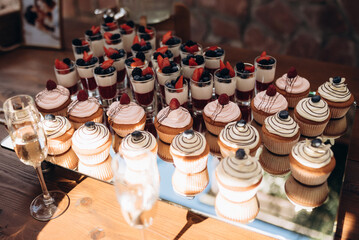 colorful cupcakes frosted with a variety of frosting flavors