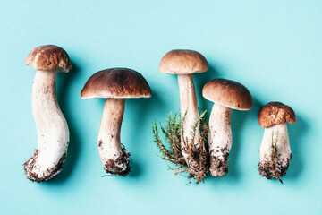 Fresh forest boletus mushrooms on blue background. Top view. Copy space. Autumn harvest concept. Fresh picked Porcini mushrooms in basket
