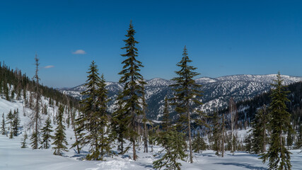travel through the Siberian forests at different times of the year

