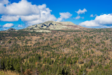 travel through the Siberian forests at different times of the year

