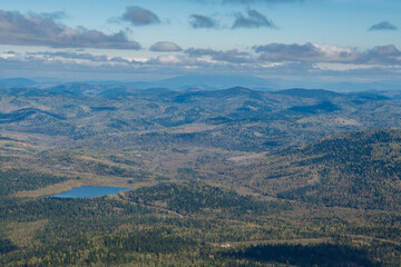 travel through the Siberian forests at different times of the year

